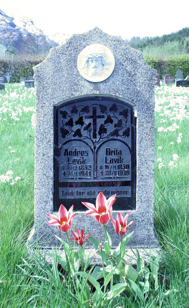 Fil:Eksingedalen, gravminne, AMH 2008.jpg