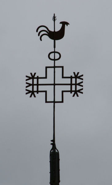 Fil:Evanger, værhane, AMH 2007.jpg