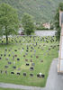 Hauge kyrkje, kyrkjegarden sør for kyrkja, mot vest, AMH 2009.jpg