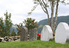 Joranger kyrkjegarden nord for kyrkaj, detalj, AMH 2010.jpg