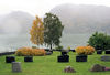 Nes kyrkje, kyrkjegarden, nordaustre hjørne, AMH 2010.jpg