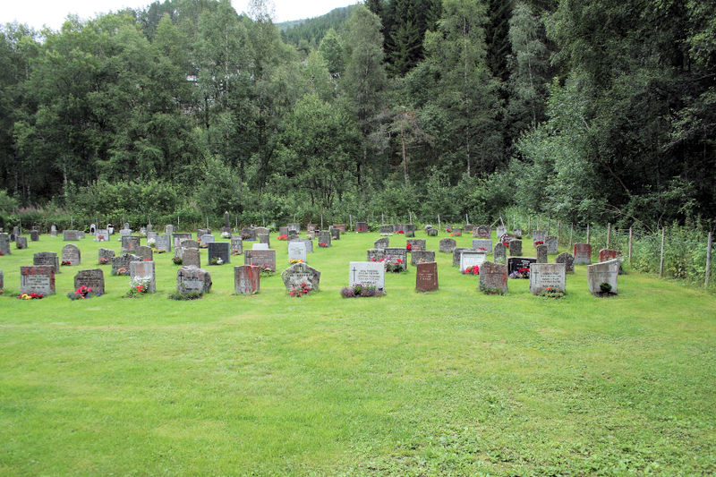 Fil:Skare, kyrkjegarden nordaustre del, AMH 2008.jpg