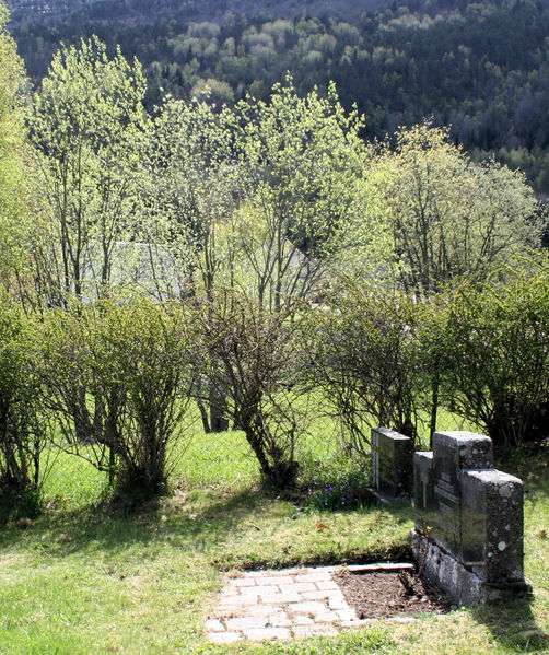 Fil:Solvorn, nettinggjerde med busker, AMH 2011.jpg