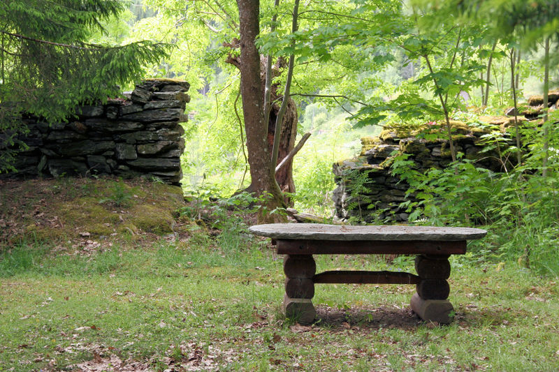 Fil:Stuppulshagen, søndre del, AMH 2012.jpg