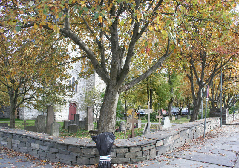 Fil:Voss, kyrkjegarden, nordvestre hjørne, AMH 2007.jpg